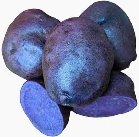 Adirondak Blue potatoes