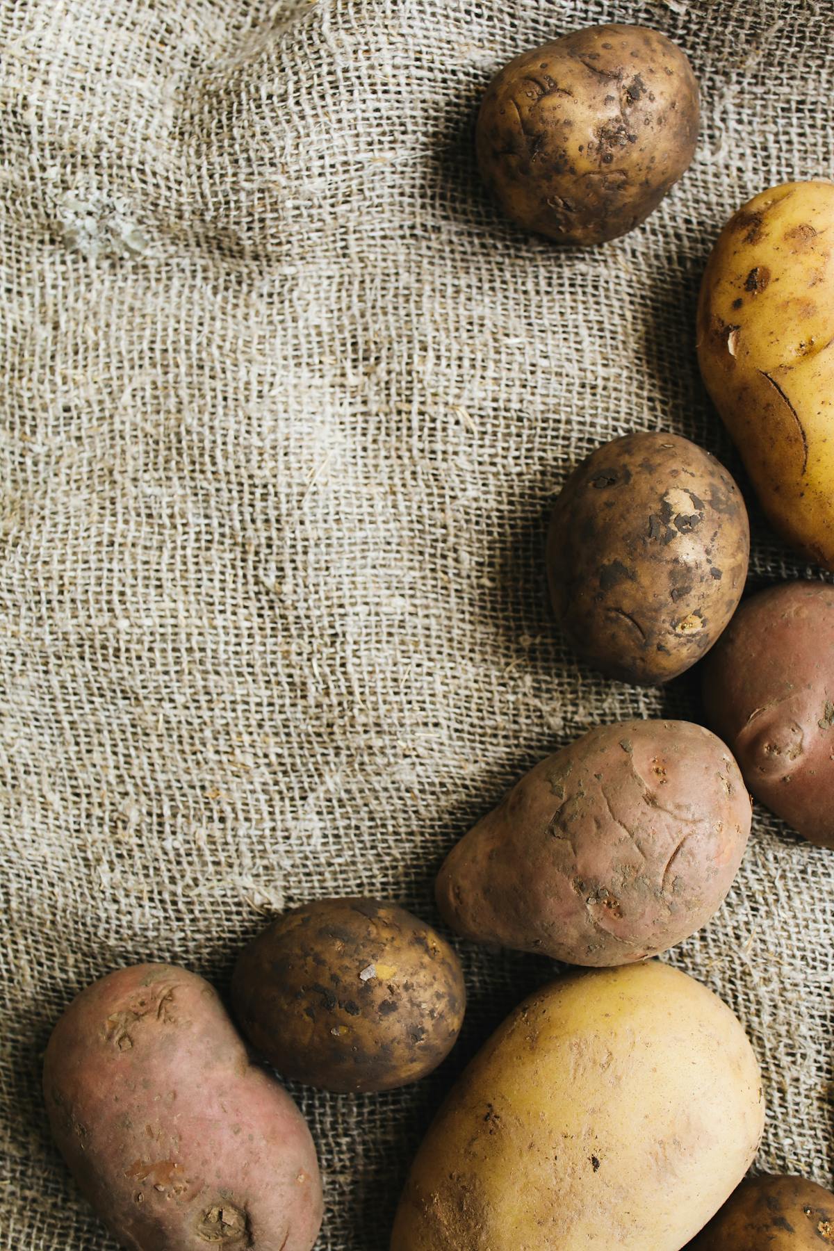 Russet potatoe