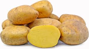 Yukon Gold potatoe